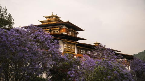 punakha-dzong-bhutan.jpg