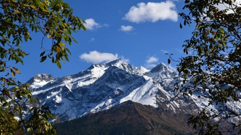 dolpo-3-jpg.jpg