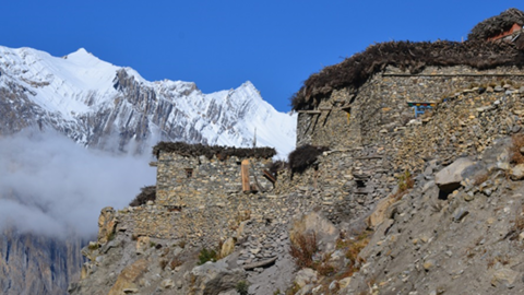 dolpo-8-jpg-png.png