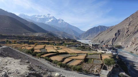 nepal-mustang-lodge-trek.jpg