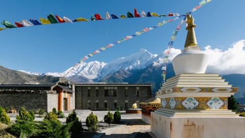 shinta-mani-mustang-aussenansicht.jpg